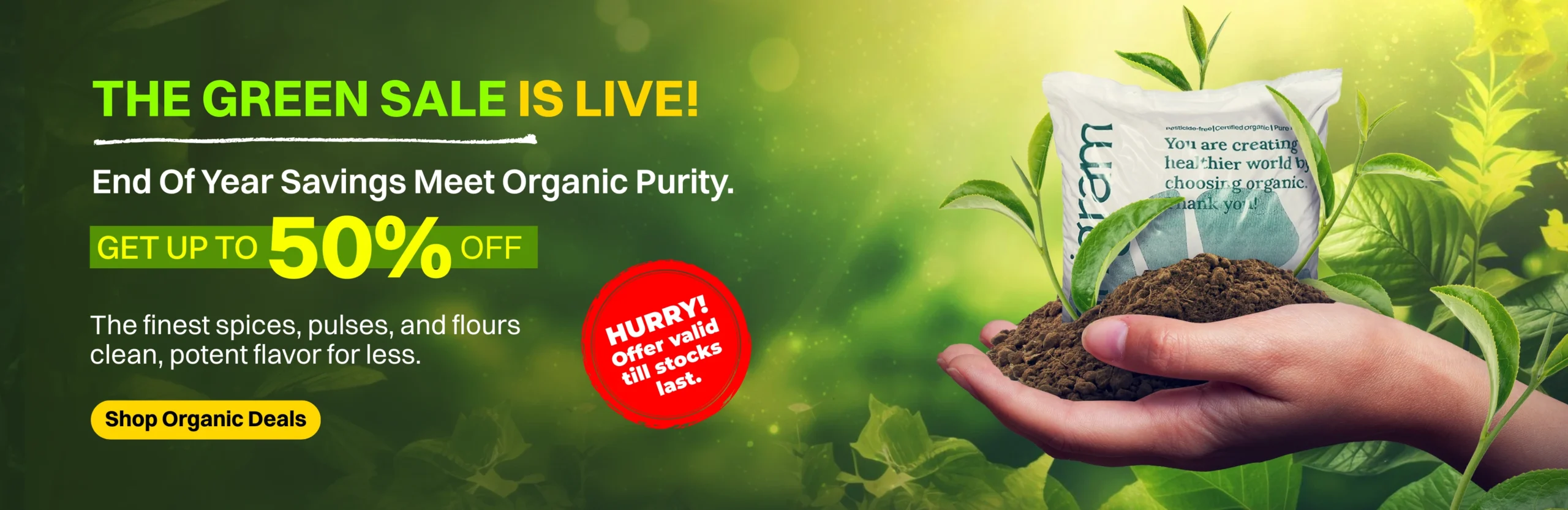 Organigram - NOV - 2025 website banner-1