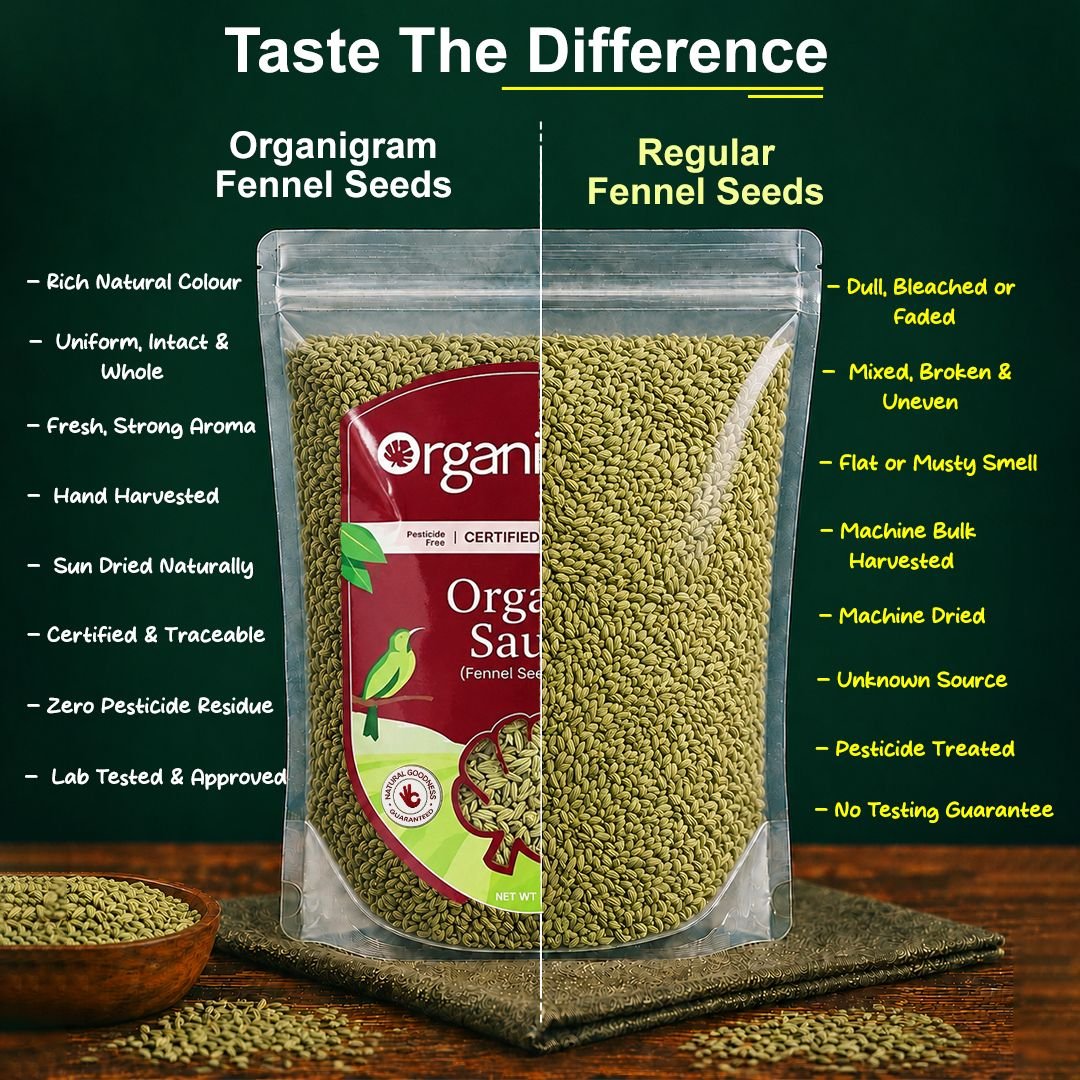Organic Saunf/Fennel Seeds Whole - Image 3
