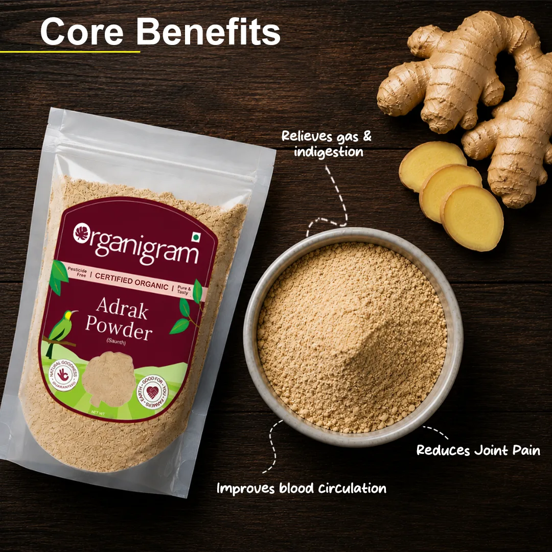 Organic Adrak Powder(Saunth)/Dried Ginger Powder - Image 2