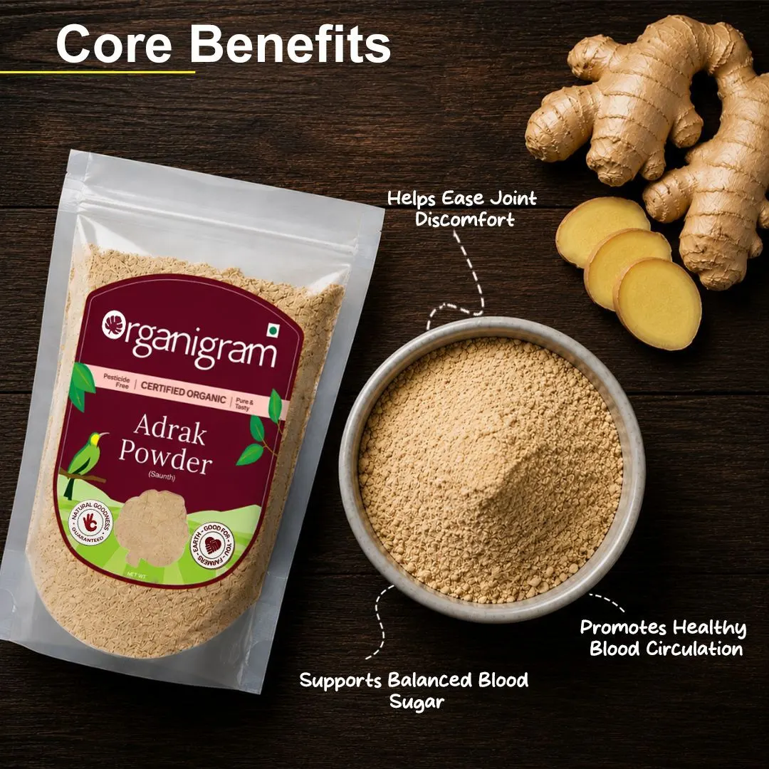 Organic Adrak Powder(Saunth)/Dried Ginger Powder - Image 2