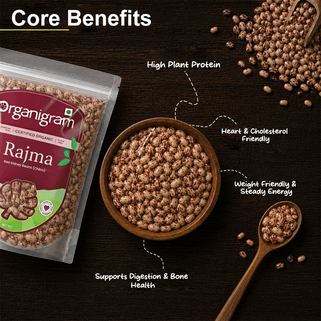 Organic Rajma/Red Kidney Beans (Chitra) - Image 2
