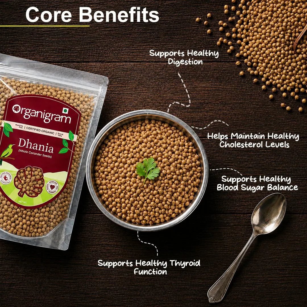 Organic Dhania/Coriander Seeds Whole - Image 2