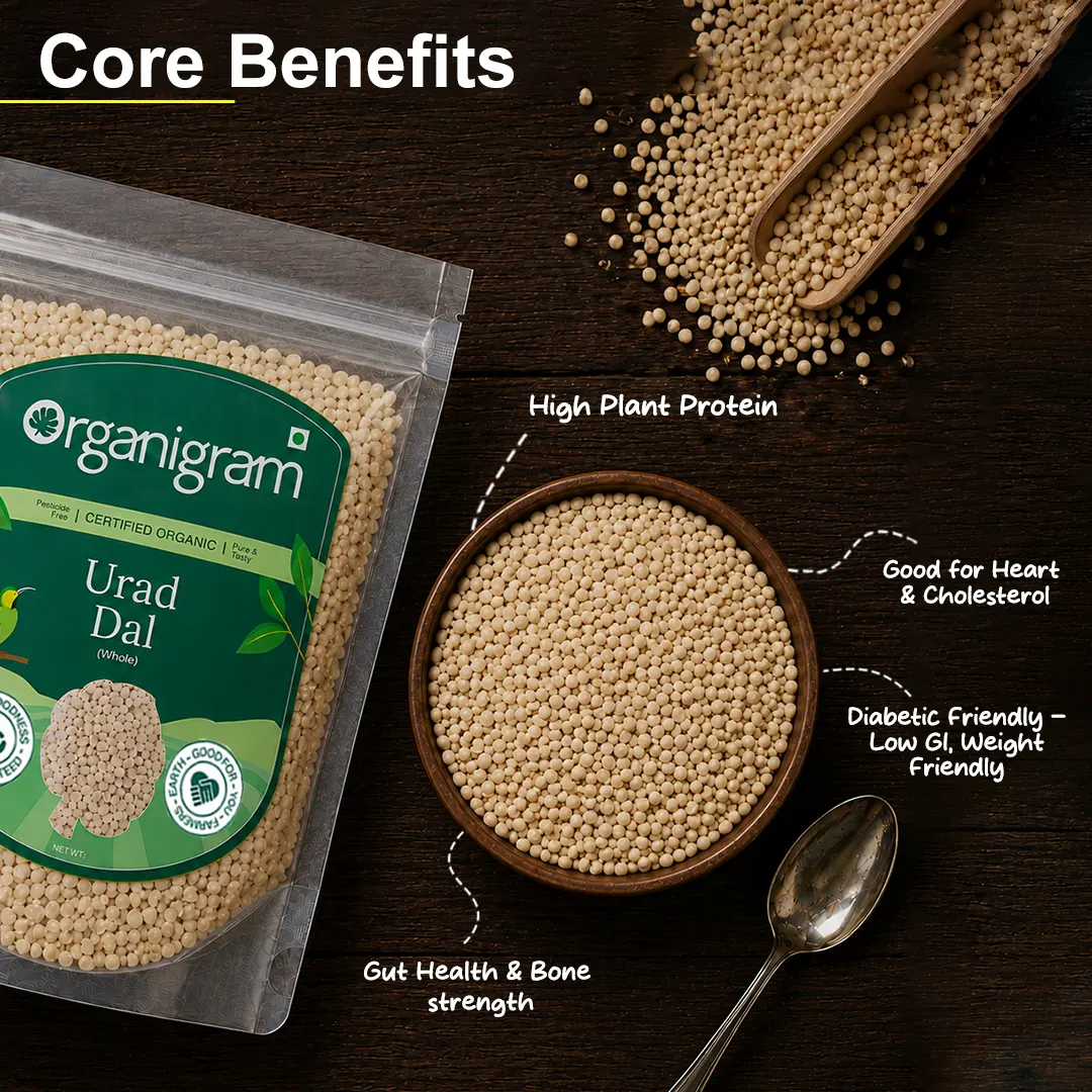 Organic Urad Gota/Urad White Gram Whole - Image 2
