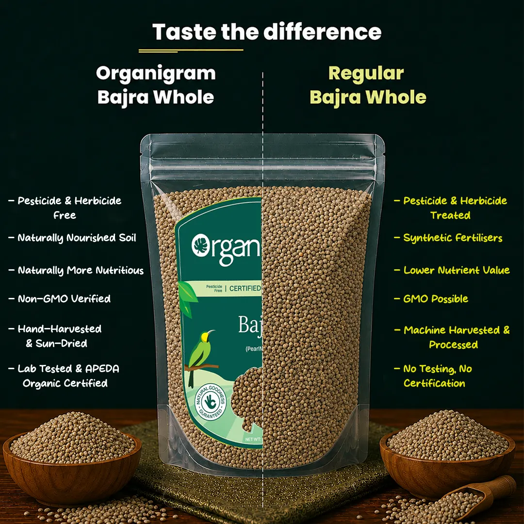 Organic Bajra Whole/Pearl Millet - Image 3