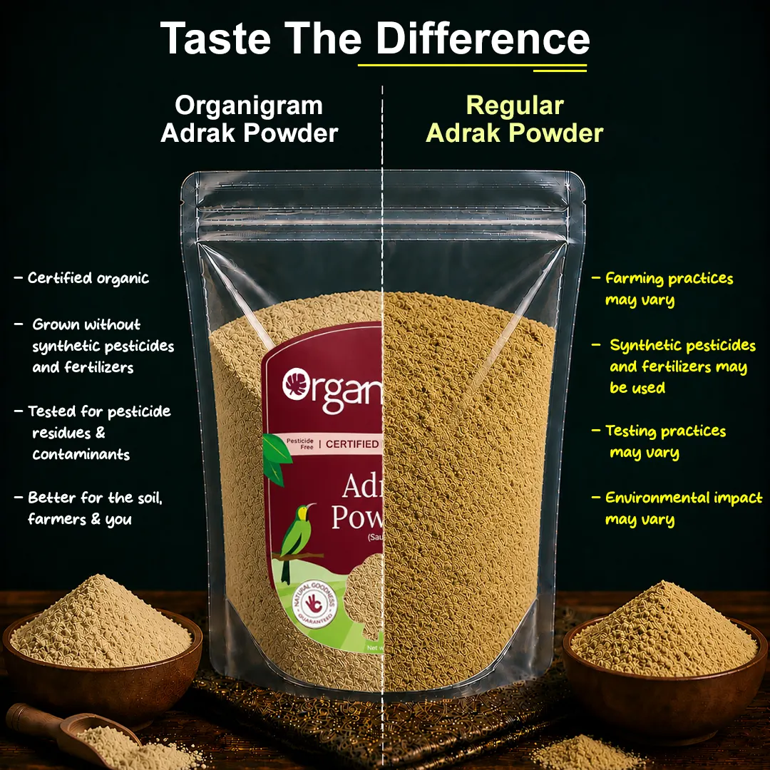 Organic Adrak Powder(Saunth)/Dried Ginger Powder - Image 3