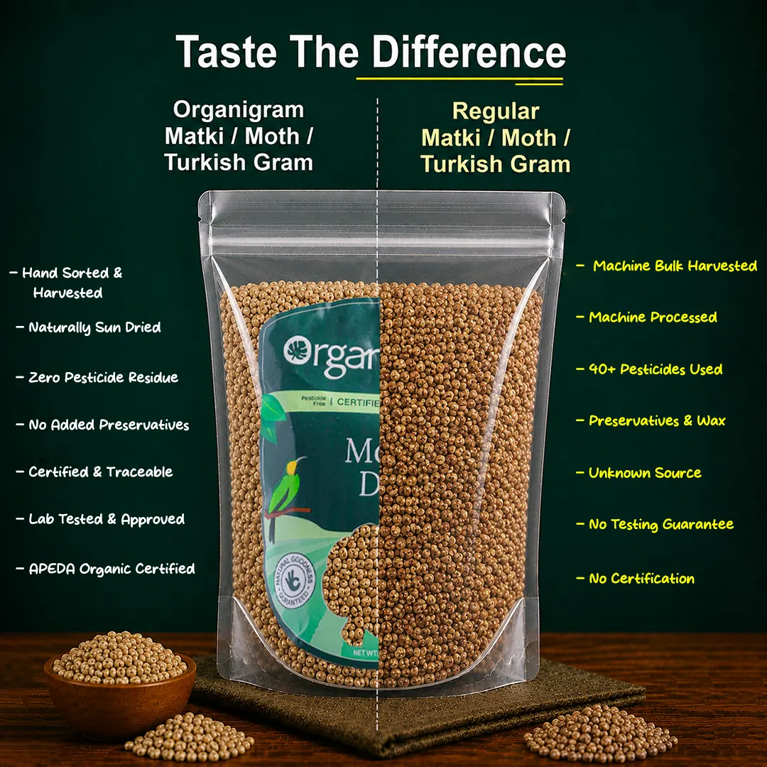 Organic Moth Dal/Moth Beans/Turkish Gram - Image 3