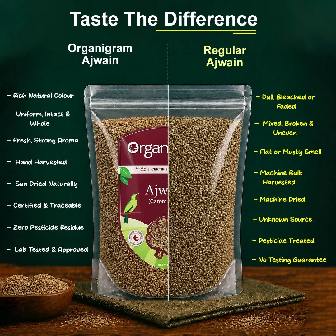 Organic Ajwain/Carom Seeds Whole - Image 3