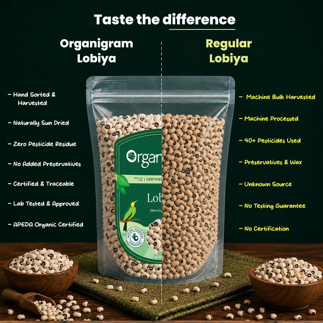 Organic Lobiya/Black-Eyed Beans - Image 3