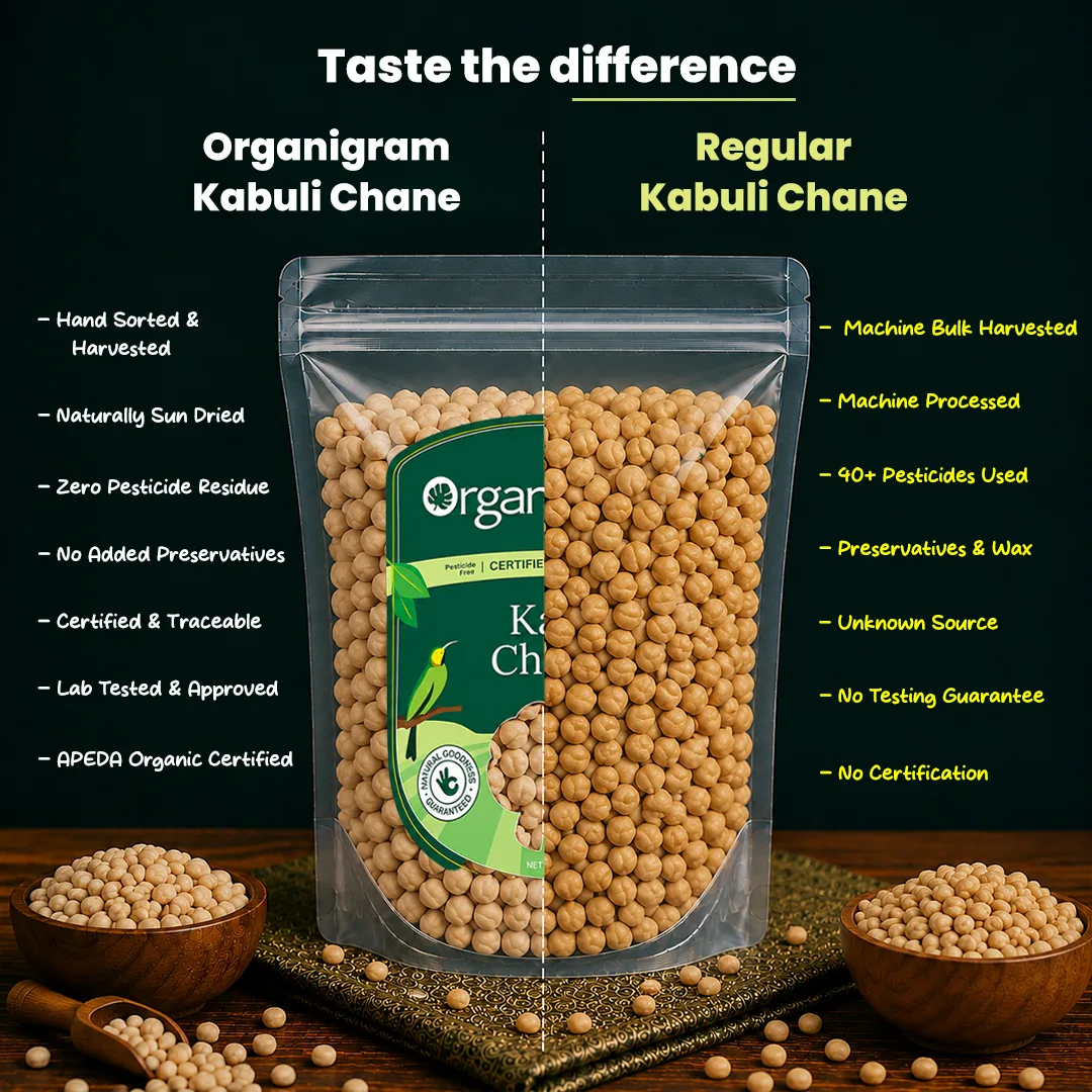 Organic Kabuli Chana/Chickpea - Image 3