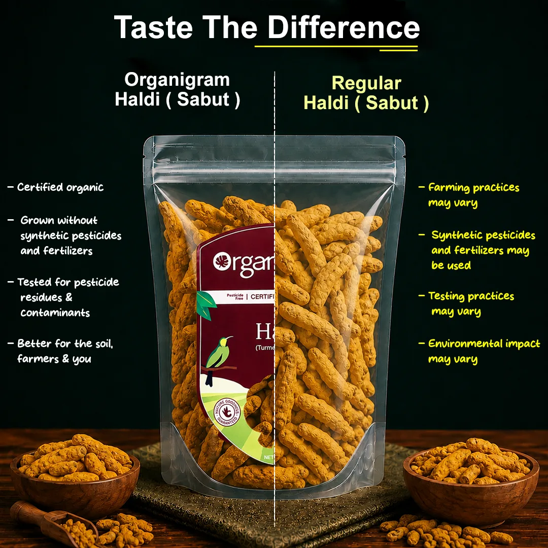Organic Haldi Sabut/Turmeric Whole - Image 3