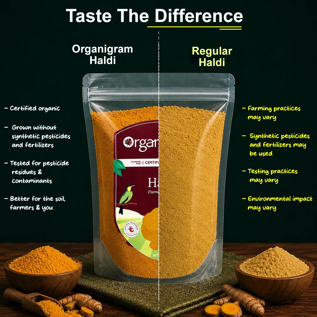 Organic Haldi Powder/Turmeric Powder - Image 3