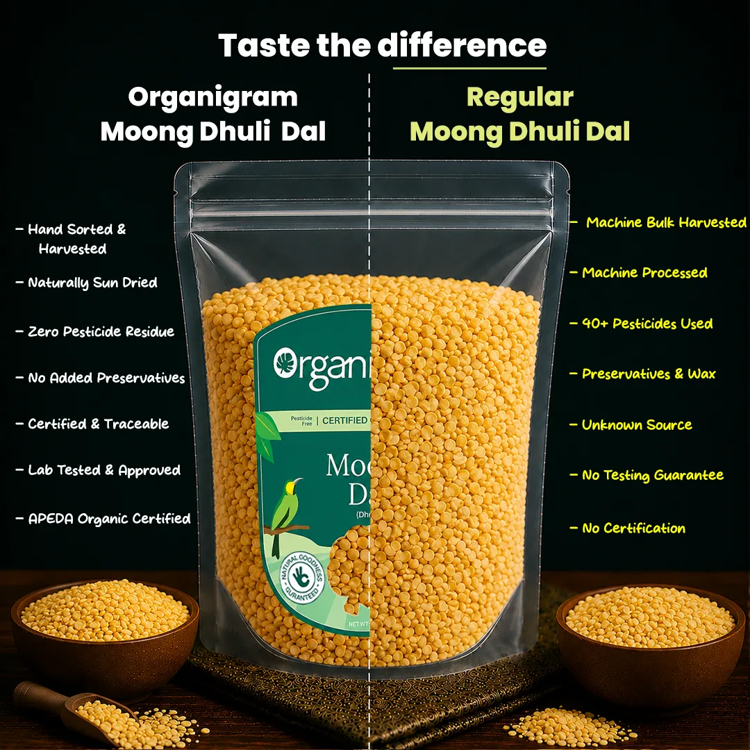 Organic Moong Dal Dhuli/Yellow Lentil Split (Skinless) - Image 3