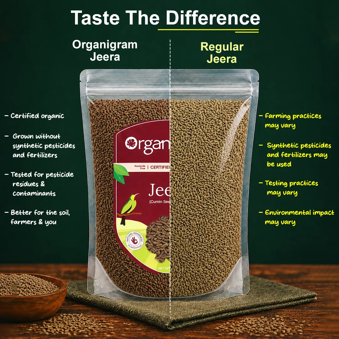 Organic Jeera/Cumin Seeds Whole - Image 3