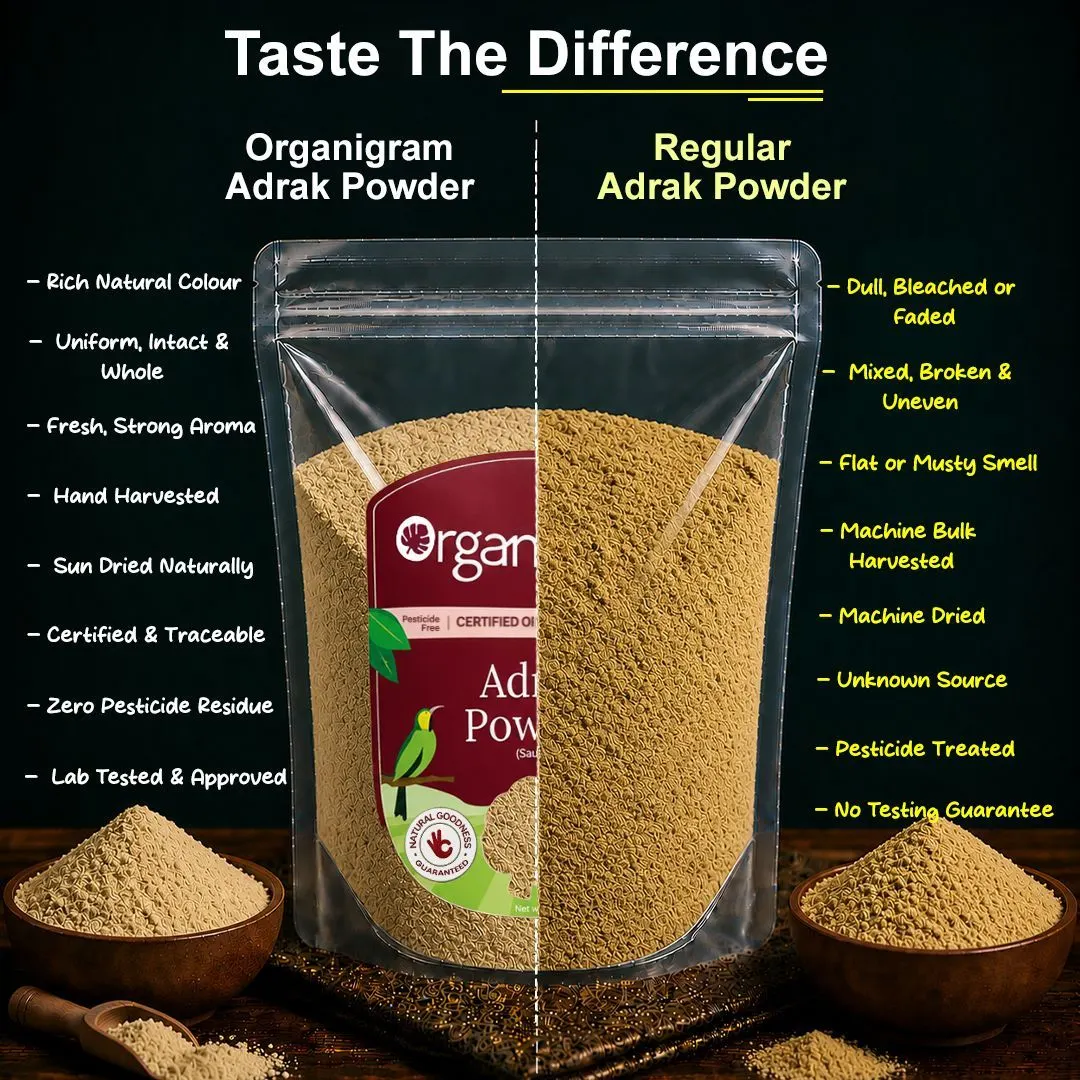 Organic Adrak Powder(Saunth)/Dried Ginger Powder - Image 3