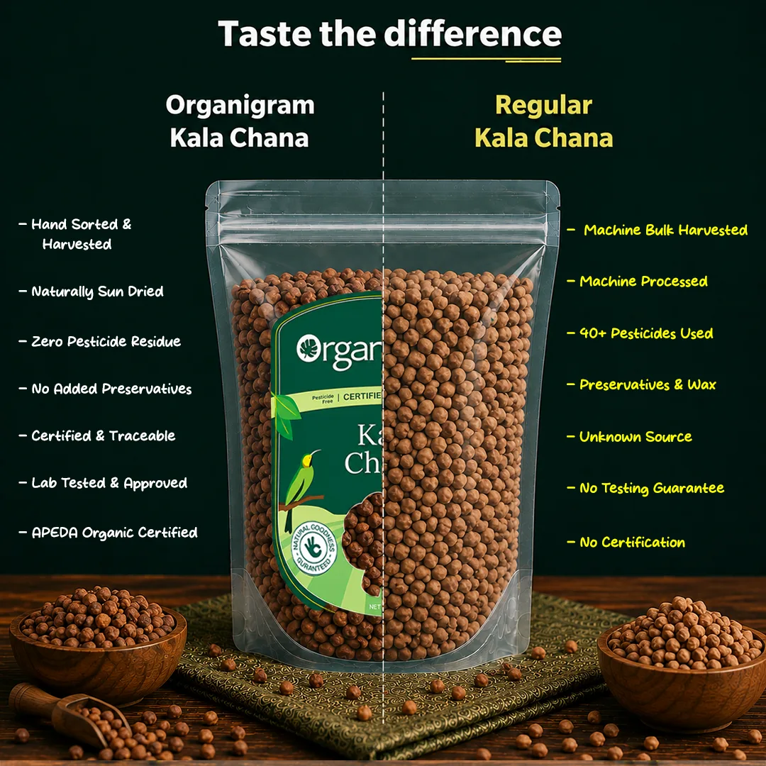 Organic Kala Chana/Bengal Gram Whole - Image 3