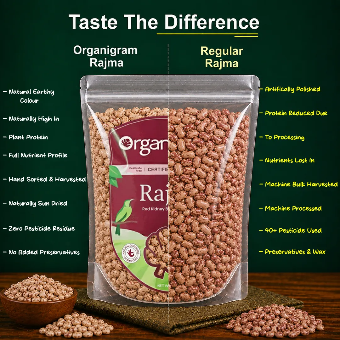 Organic Rajma/Red Kidney Beans (Chitra) - Image 3