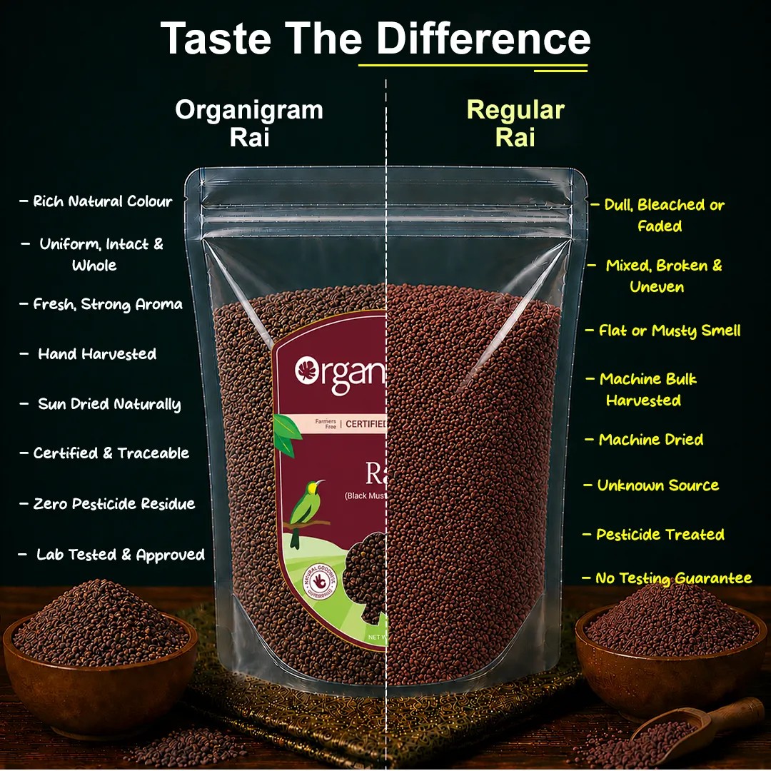 Organic Rai Dana/Black Mustard Seeds - Image 3