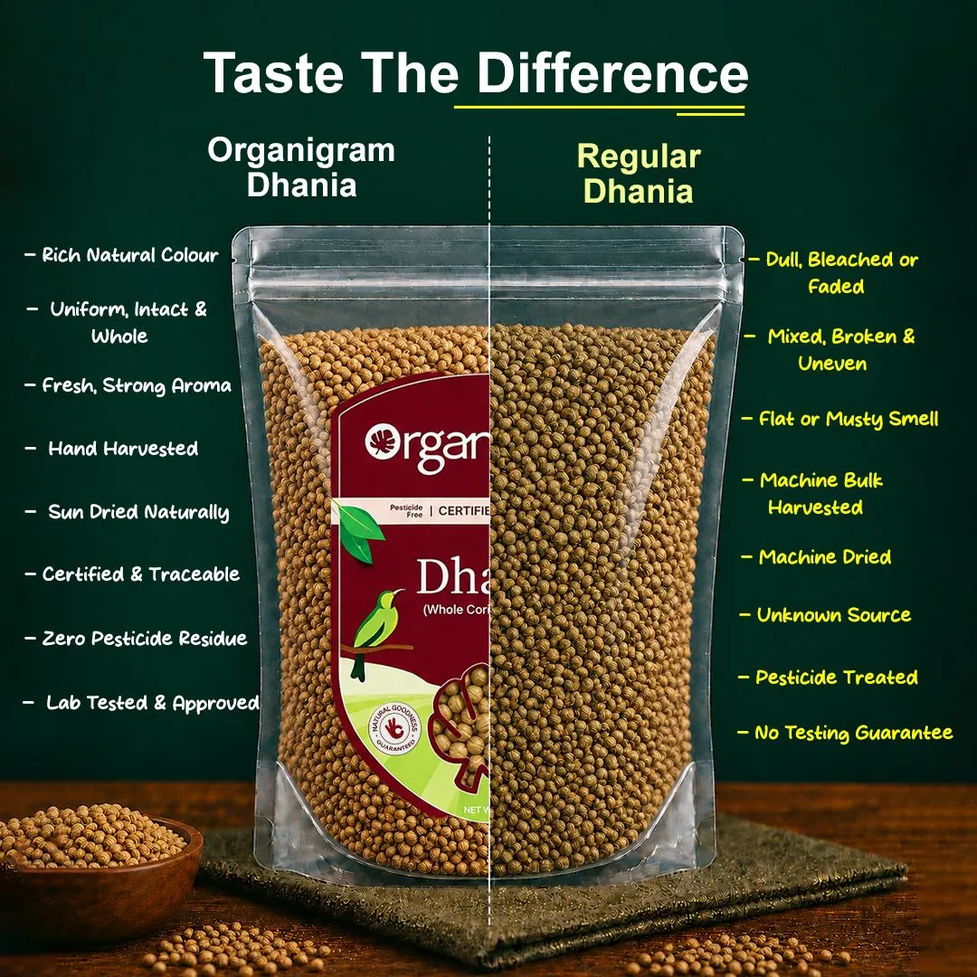 Organic Dhania/Coriander Seeds Whole - Image 3