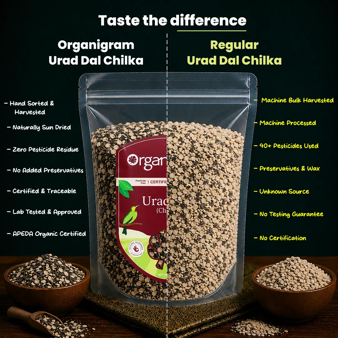 Organic Urad Dal (Chilka)/Black Gram Split (With Skin) - Image 3