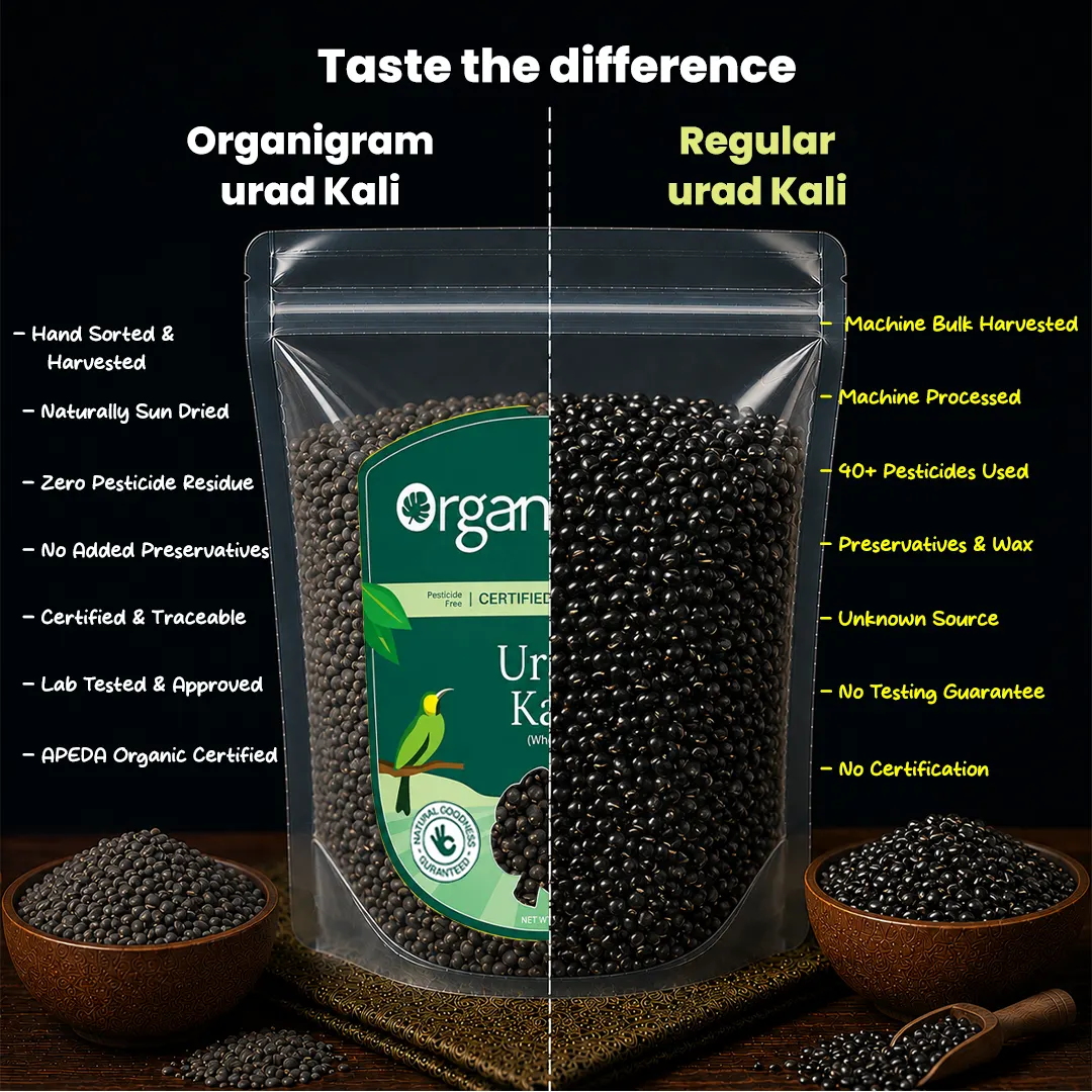 Organic Urad Kali/Black Gram Whole - Image 3