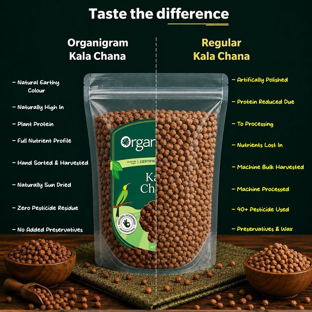 Organic Kala Chana/Bengal Gram Whole - Image 3