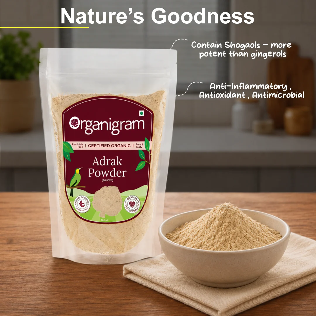 Organic Adrak Powder(Saunth)/Dried Ginger Powder - Image 4