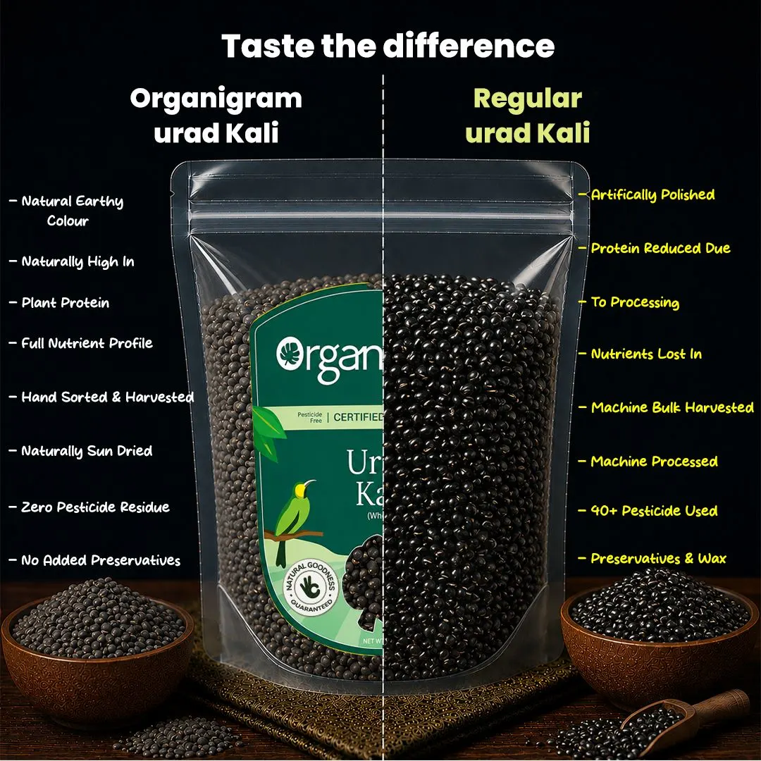Organic Urad Kali/Black Gram Whole - Image 3