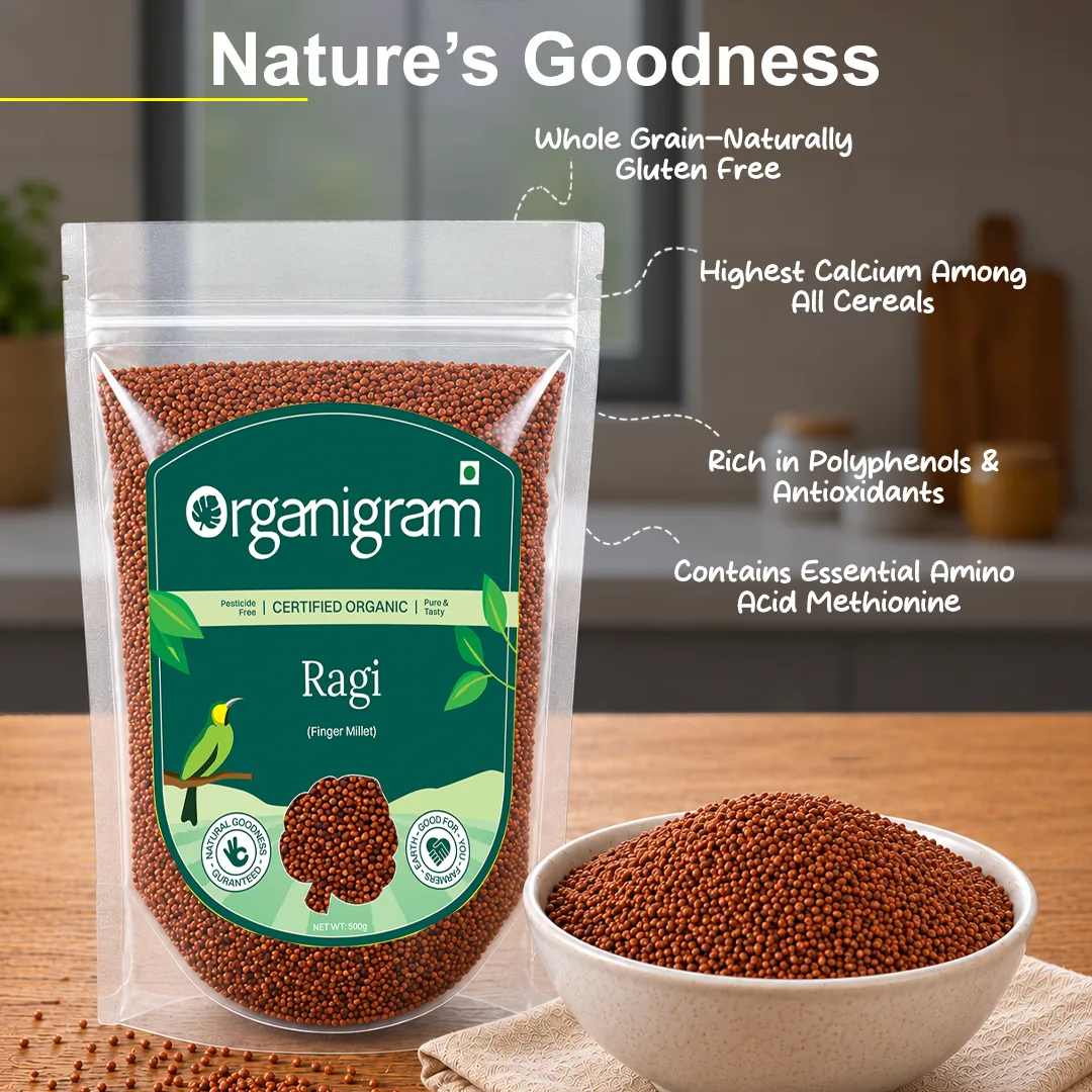 Organic Ragi Whole/Finger Millet - Image 4