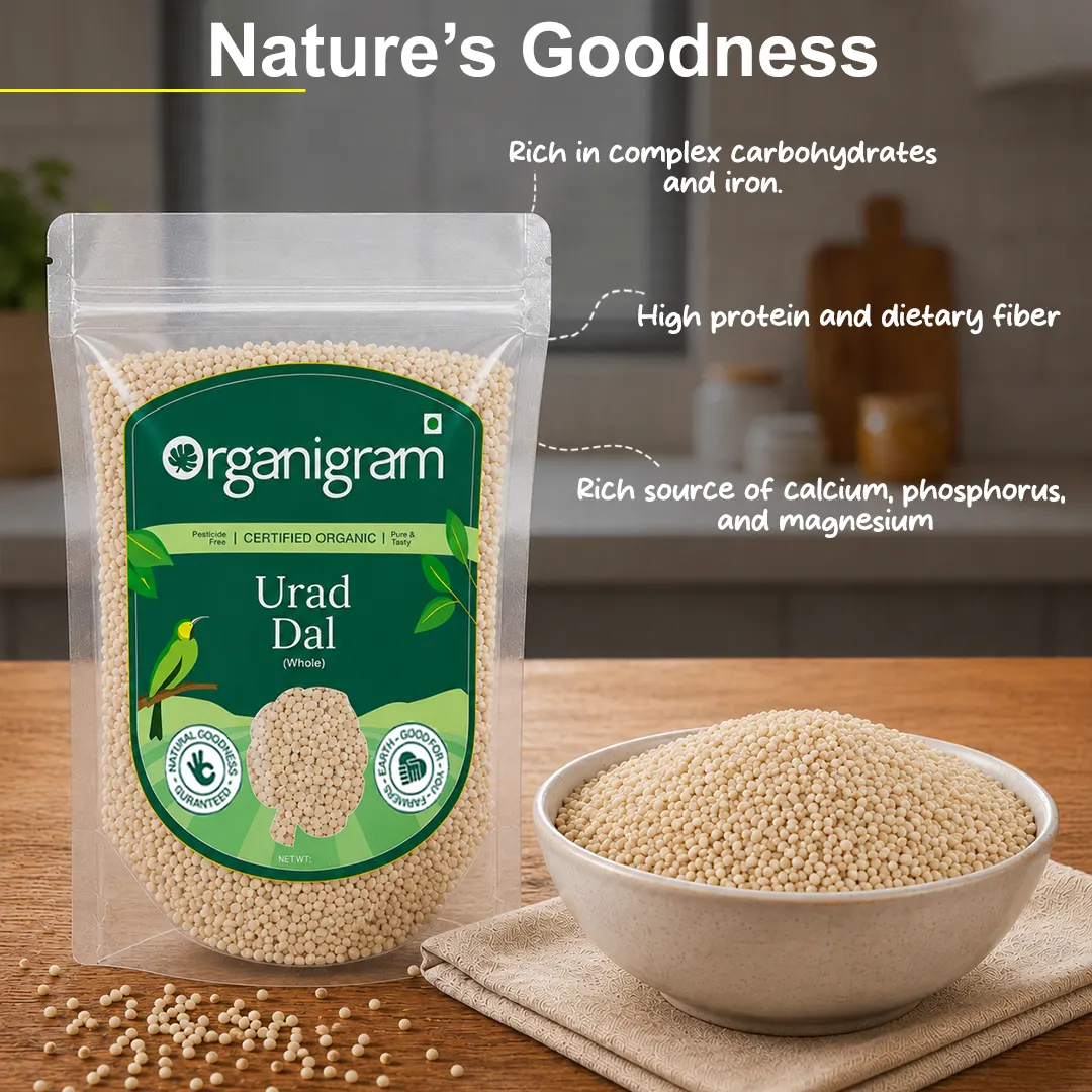 Organic Urad Gota/Urad White Gram Whole - Image 4