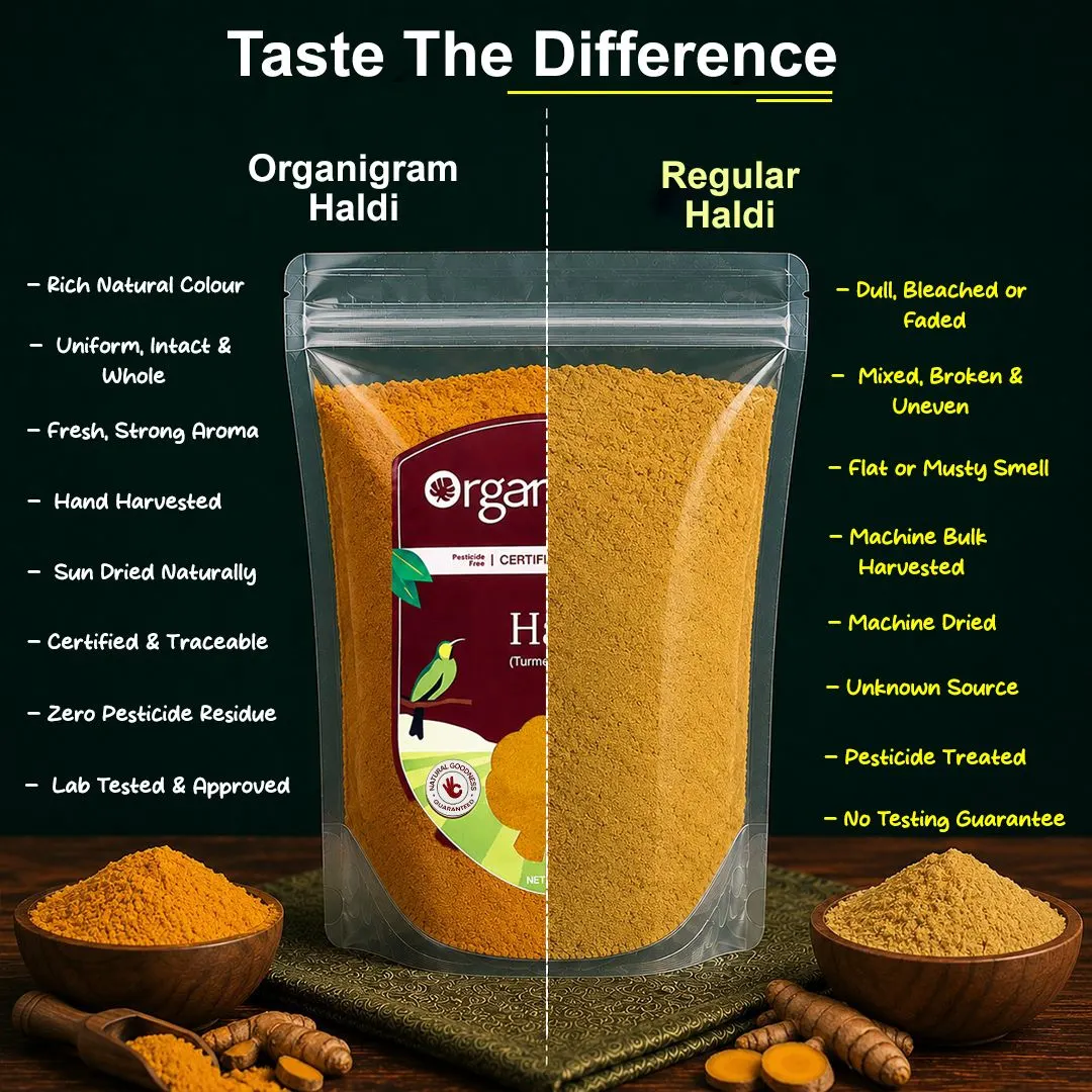 Organic Haldi Powder/Turmeric Powder - Image 3