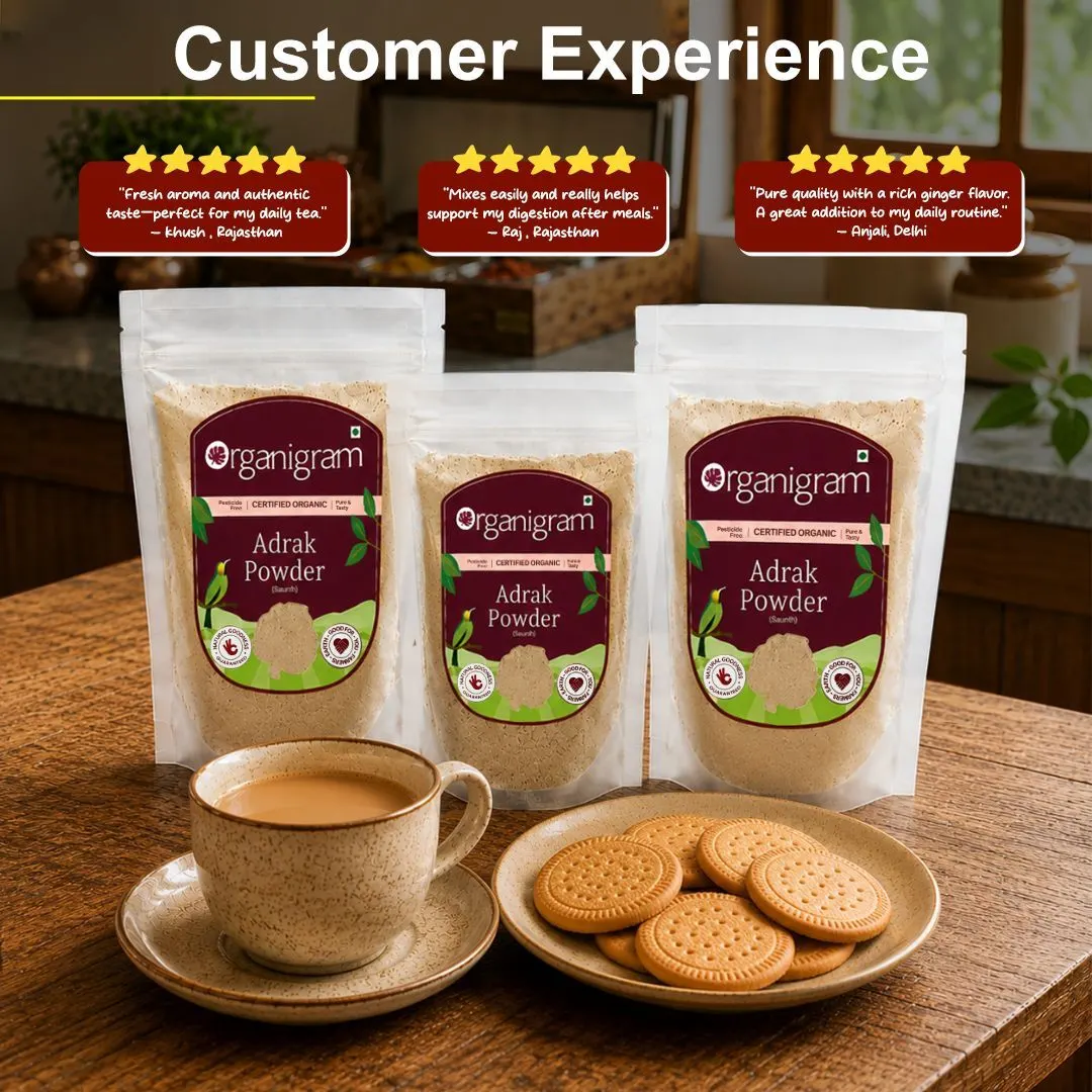 Organic Adrak Powder(Saunth)/Dried Ginger Powder - Image 5