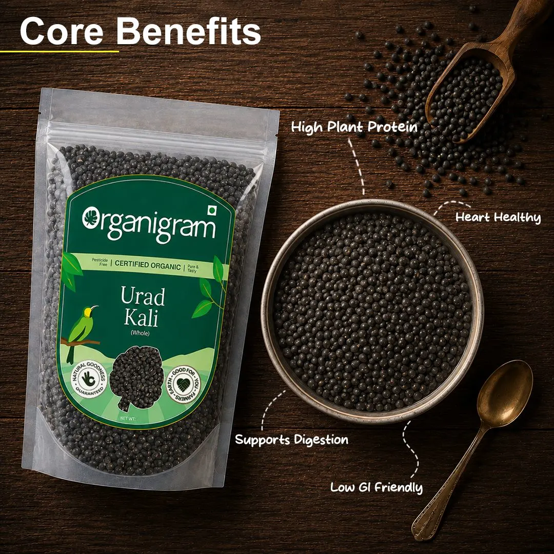 Organic Urad Kali/Black Gram Whole - Image 2