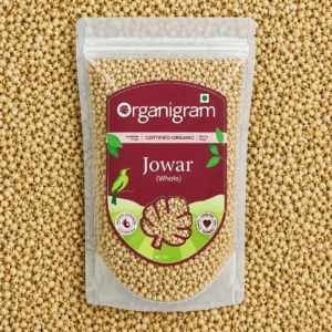 Organic Jowar/Sorghum Whole