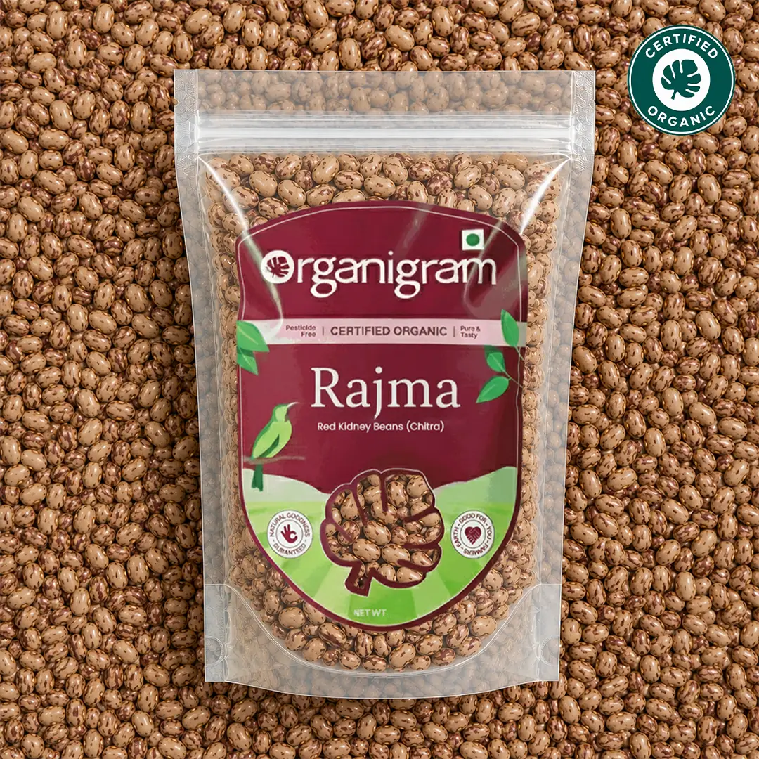 Protein Power Combo - Image 7