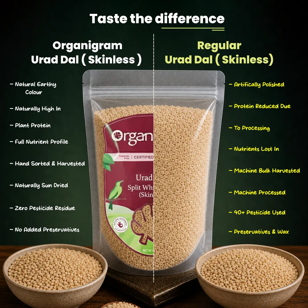 Organic Urad Dal/Split Black Gram (Skinless) - Image 3